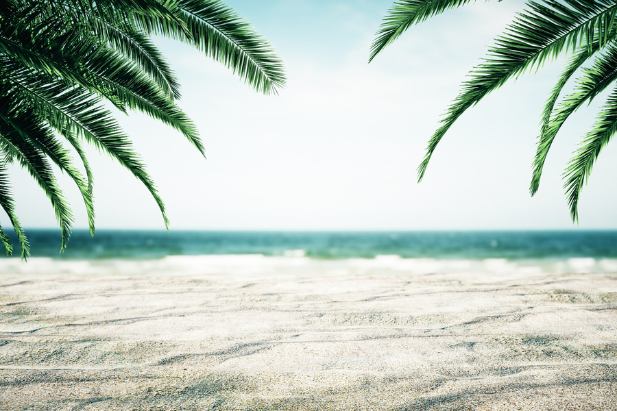 Beautiful beach backdrop with palms